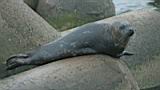 070729_142444_0.jpg