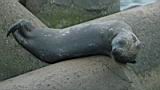 070729_142614_0.jpg